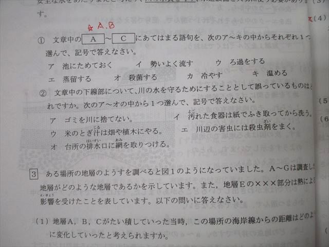 浜学園 小6理科 日曜志望校別/入試直前特訓問題集 PART1/2 L神女