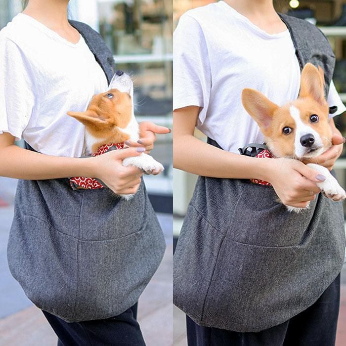犬