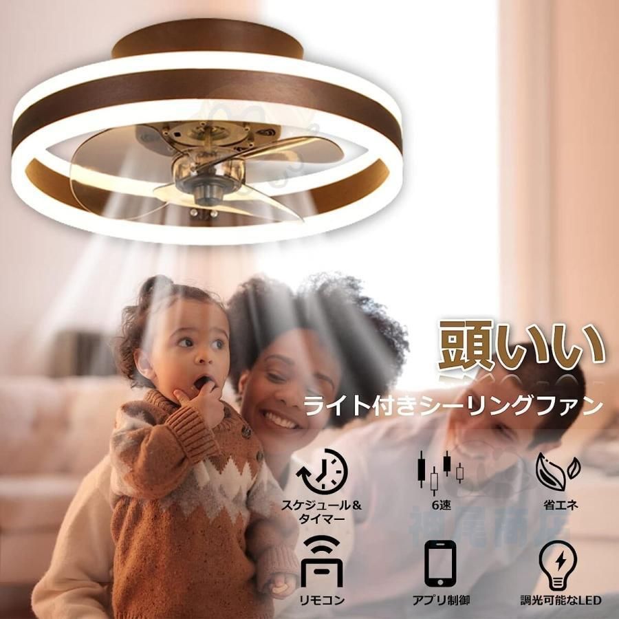 12畳 電気