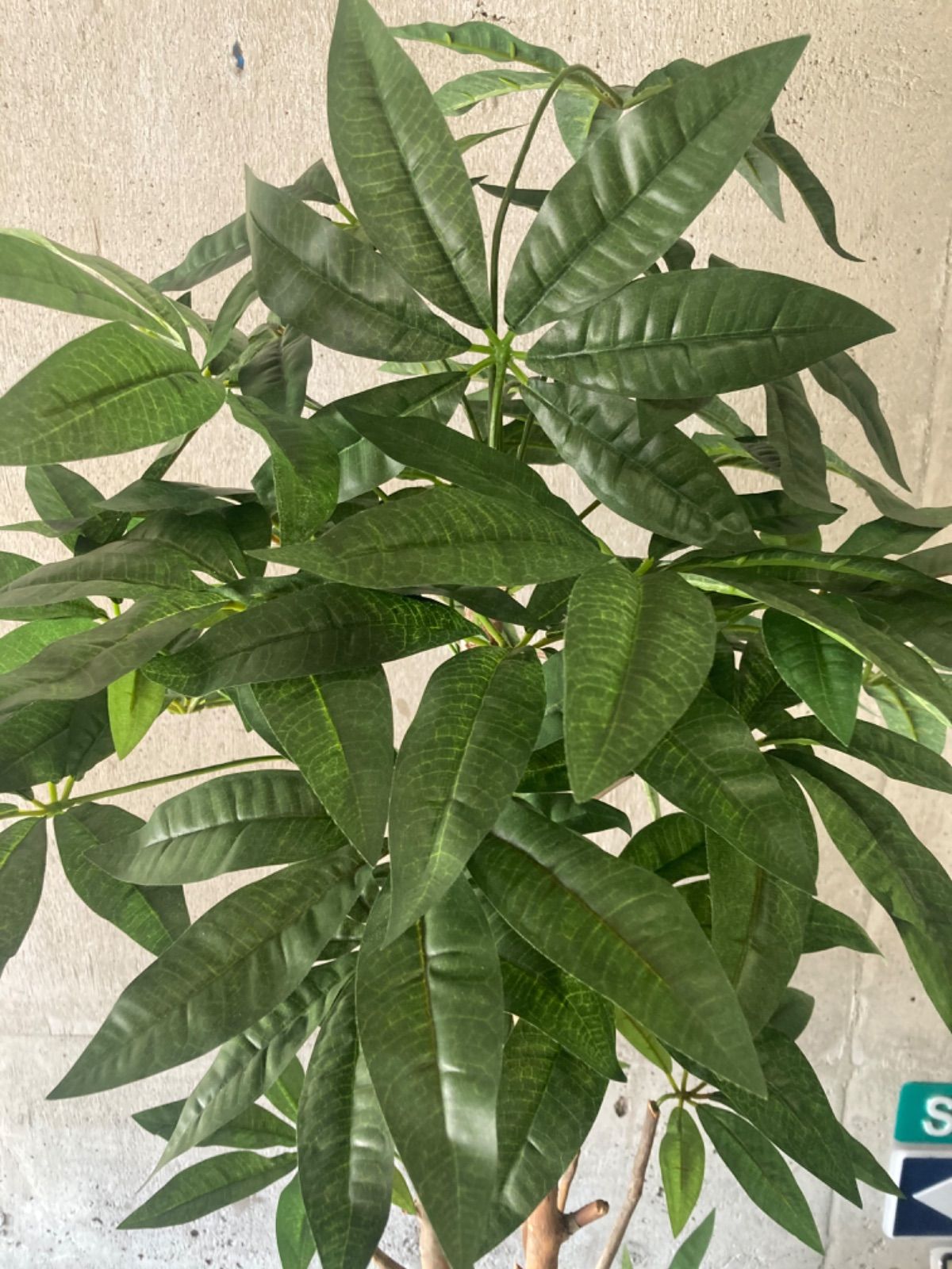 太郎 光触媒 人工観葉植物 ウォールグリーン フェイク ブリキ缶 太郎 光触媒 人工観葉植物 ウォールグリーン フェイク ブリキ缶