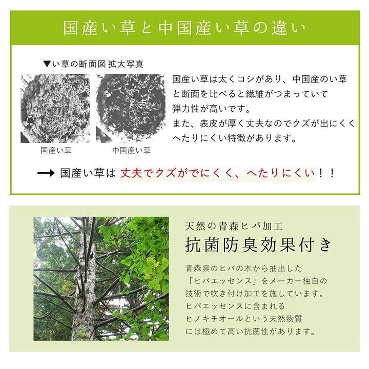 い草ラグ カーペット