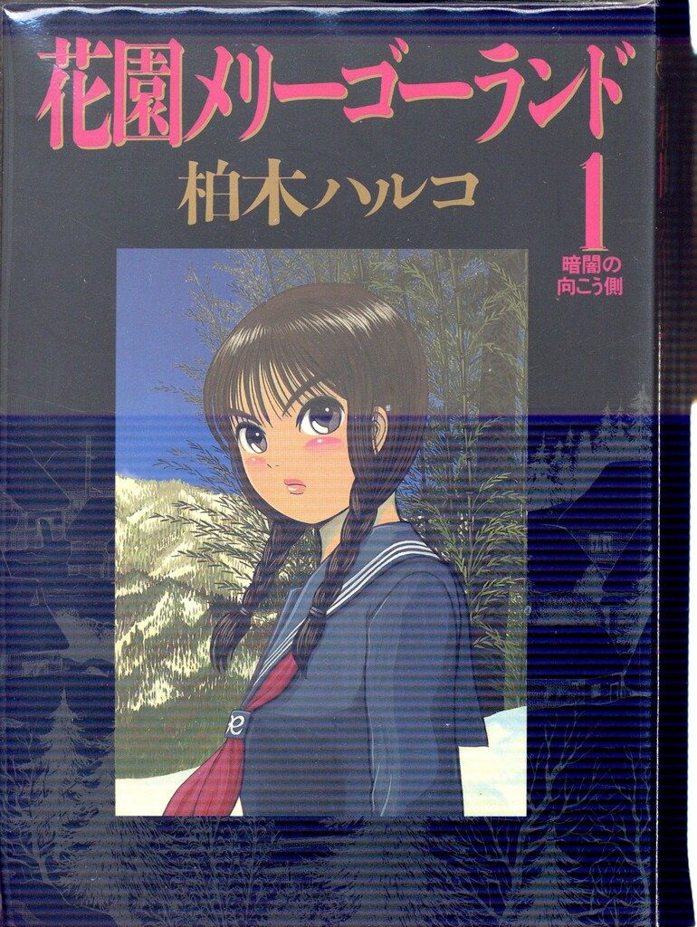 小学館 ビッグコミックス 柏木ハルコ !!)花園メリーゴーランド全5巻