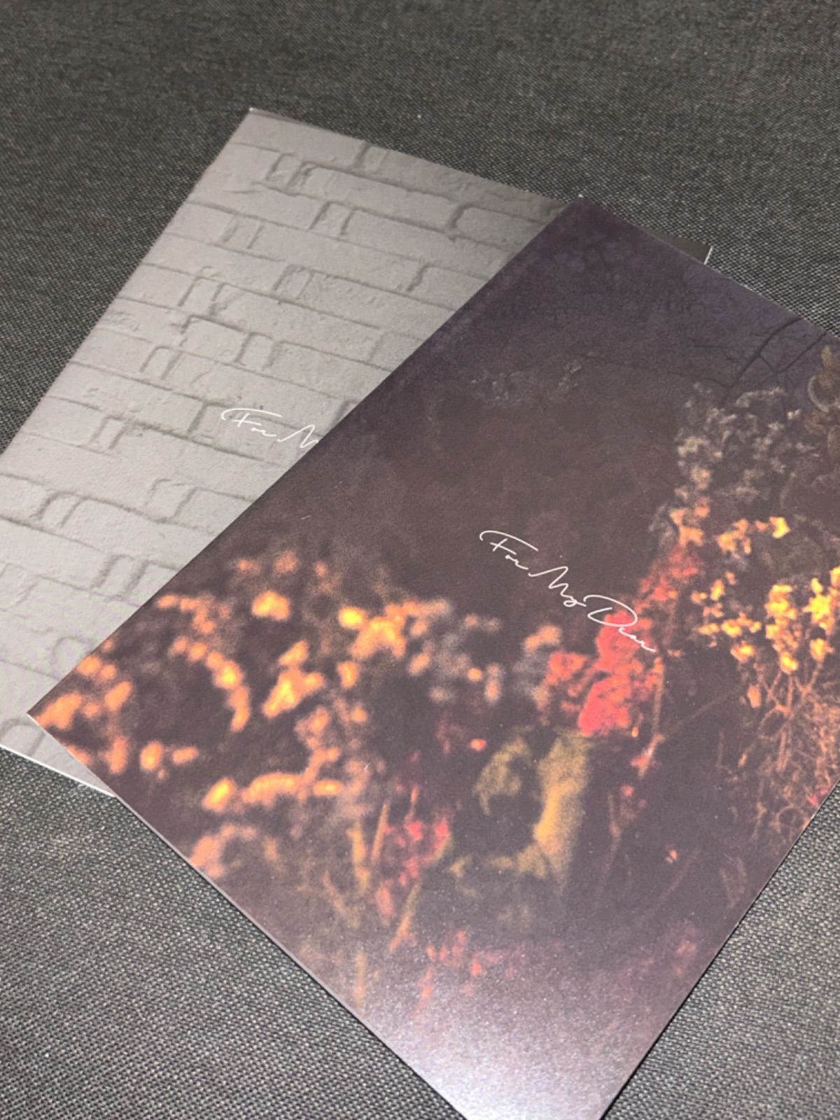【美品】鷲尾伶菜 For My Dear (初回生産限定盤) Blu-ray For My Dear 【初回生産限定盤】(2CD+Blu-ray) : 鷲尾伶菜 | HMV&BOOKS