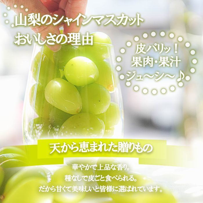 ｛予約受付｝　山梨県産シャインマスカット　種なしで皮ごと食べられる人気の葡萄です。採れたてを発送いたします約４ｋｇ入り１２８００円 予約受付｝ 山梨県産シャインマスカット 種なしで皮ごと食べられる人気