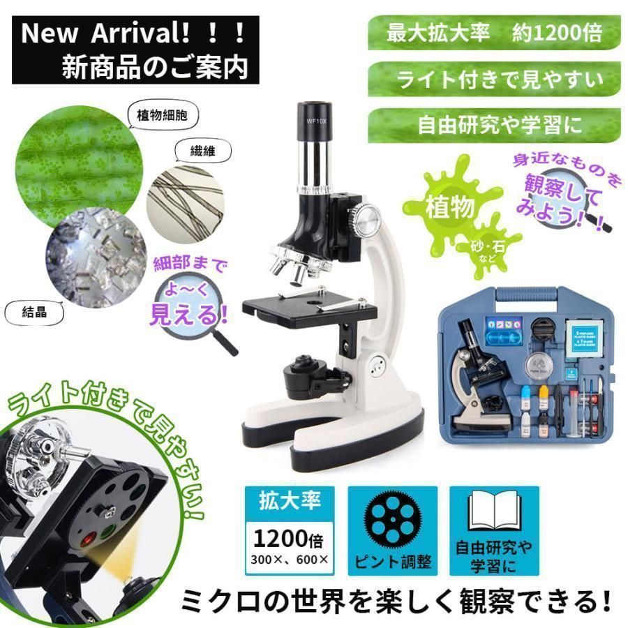 入学祝い 学生