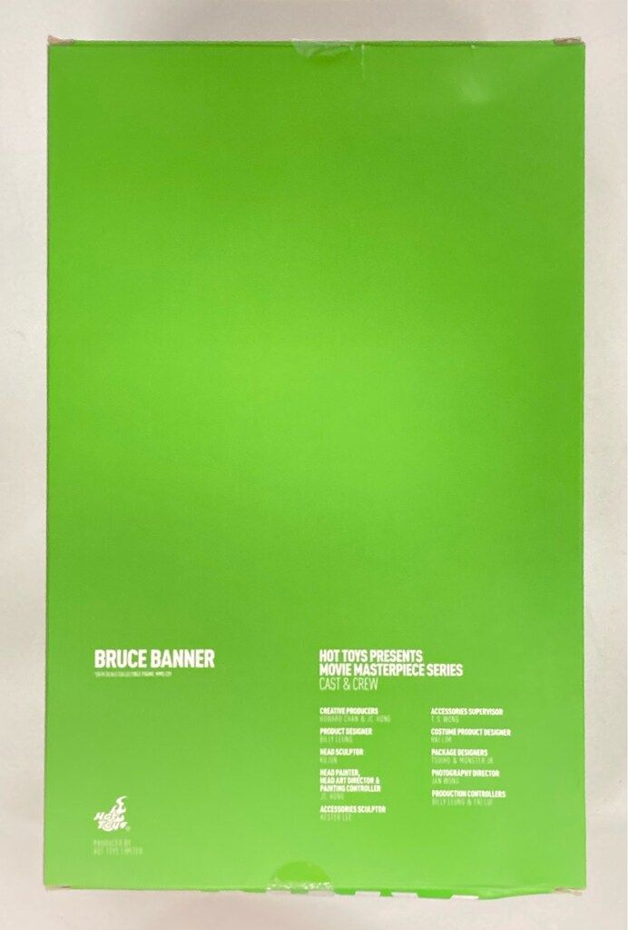 HOTTOYS MOVIE MASTERPIECE BRUCE BANNER MMS229 WWW_STEELWINDOWSANDDOORS_COM
