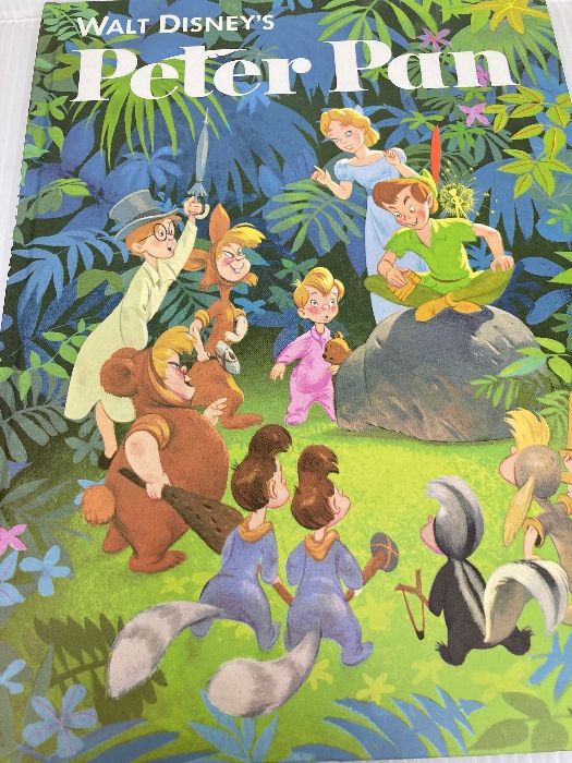 ザ・マジック・オブ・ピーターパン　トム・デュボワ　ディズニー　絵画 ザ・マジック・オブ・ピーターパン トム・デュボワ ディズニー