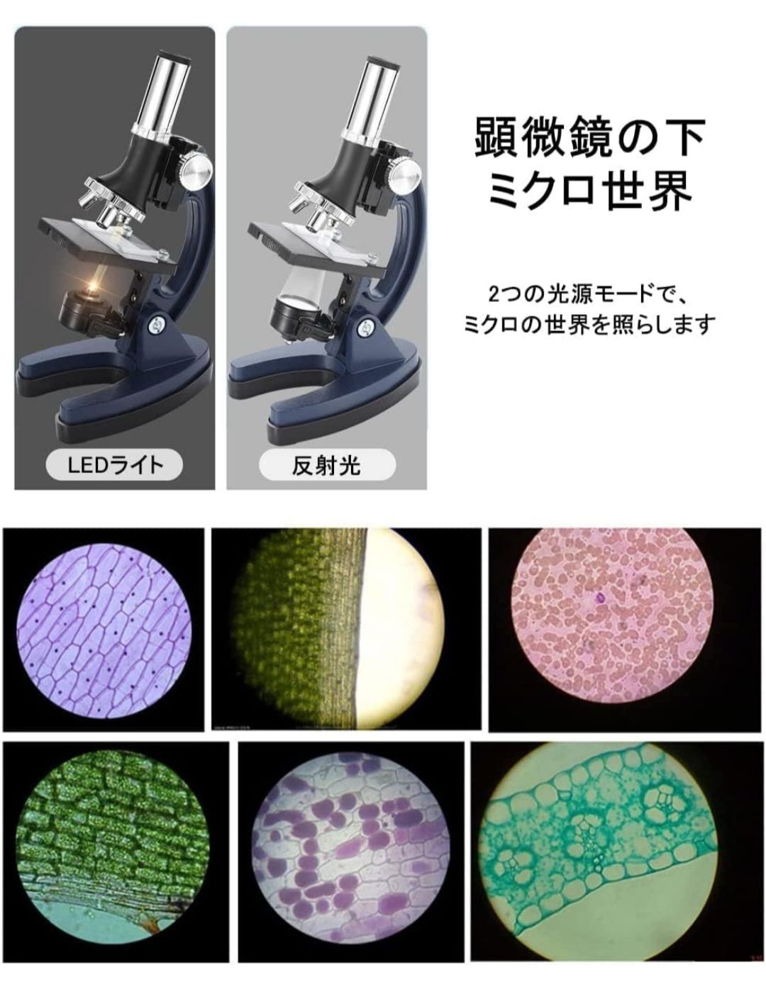 ☆[訳あり] 顕微鏡 実体顕微鏡 100X~1200Xの拡大倍率 照明付き