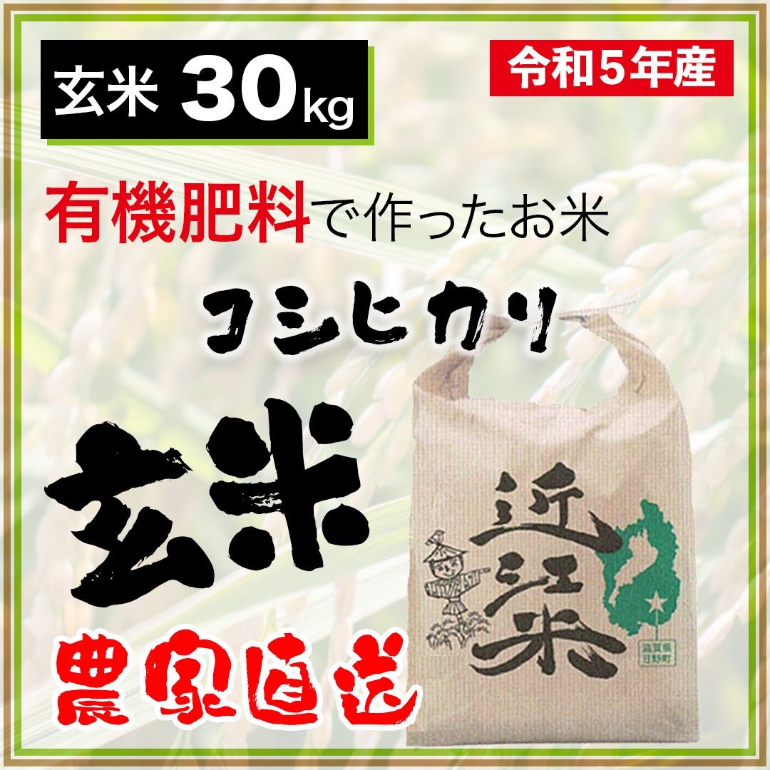 令和5年産 近江米 コシヒカリ 玄米30キロ やむ無し