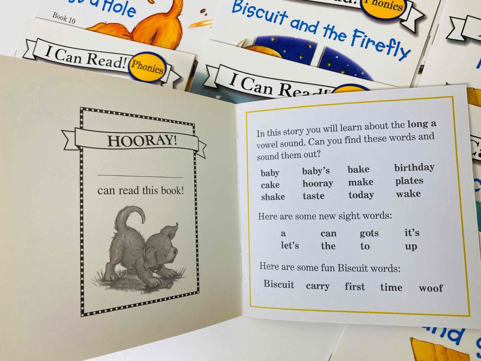 新品】ビスケットフォニックス 12冊 I can read phoics biscuit blue