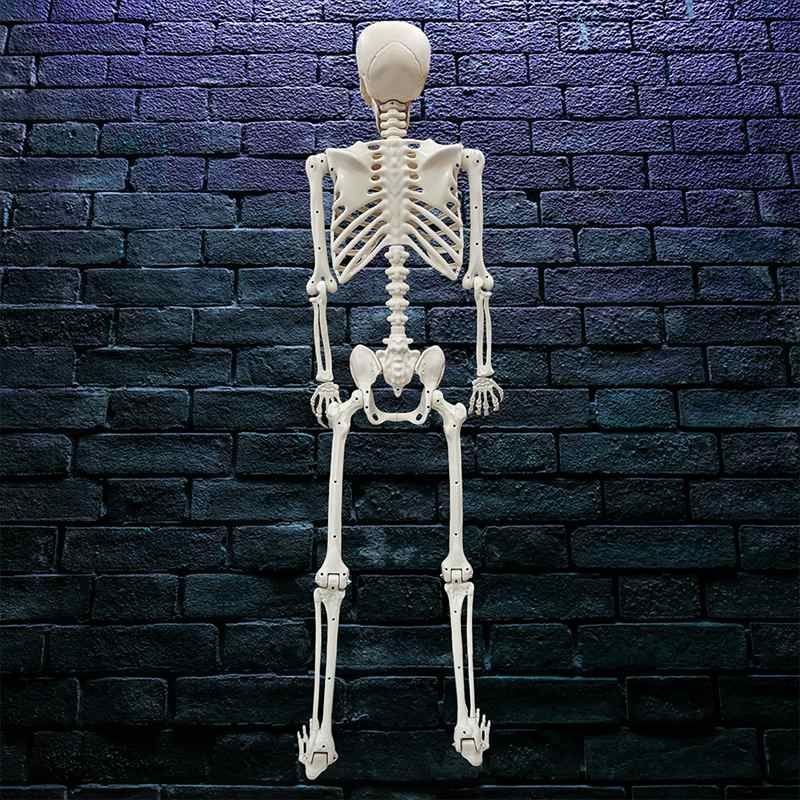 特大 ガイコツ ドクロ オブジェ 置物 155cm ドクロ 可動式
