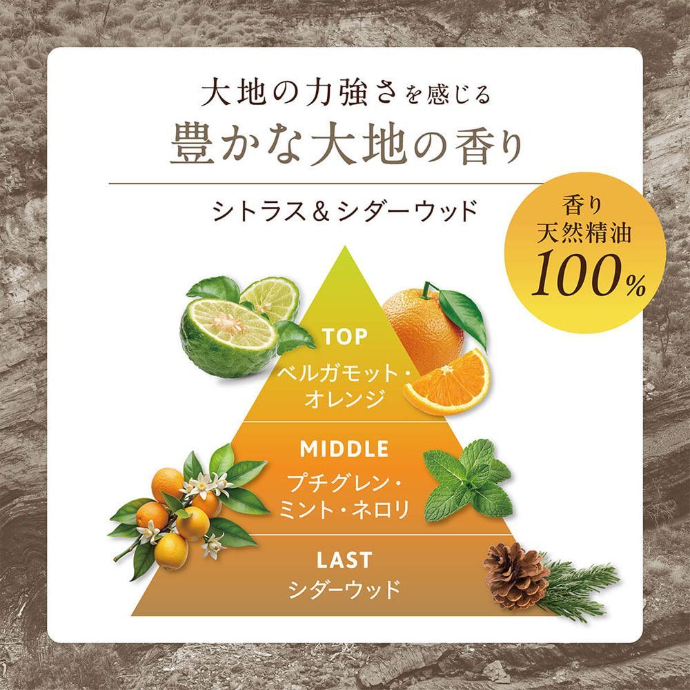 ヘアシャンプー サラヤ ココパーム ランドエッセンスシャンプー 天然精油100％ シトラス-シダーウッド 本体 450mL X5本 WWW_NOITHATQUANGTHANH_NET