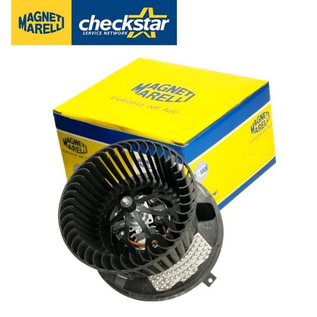 実生パキラミルキーウェイA8/複数接木/枝分岐パラソル仕立て/無機質