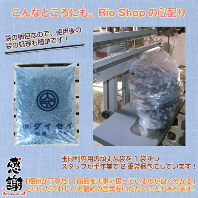 フィリピン産