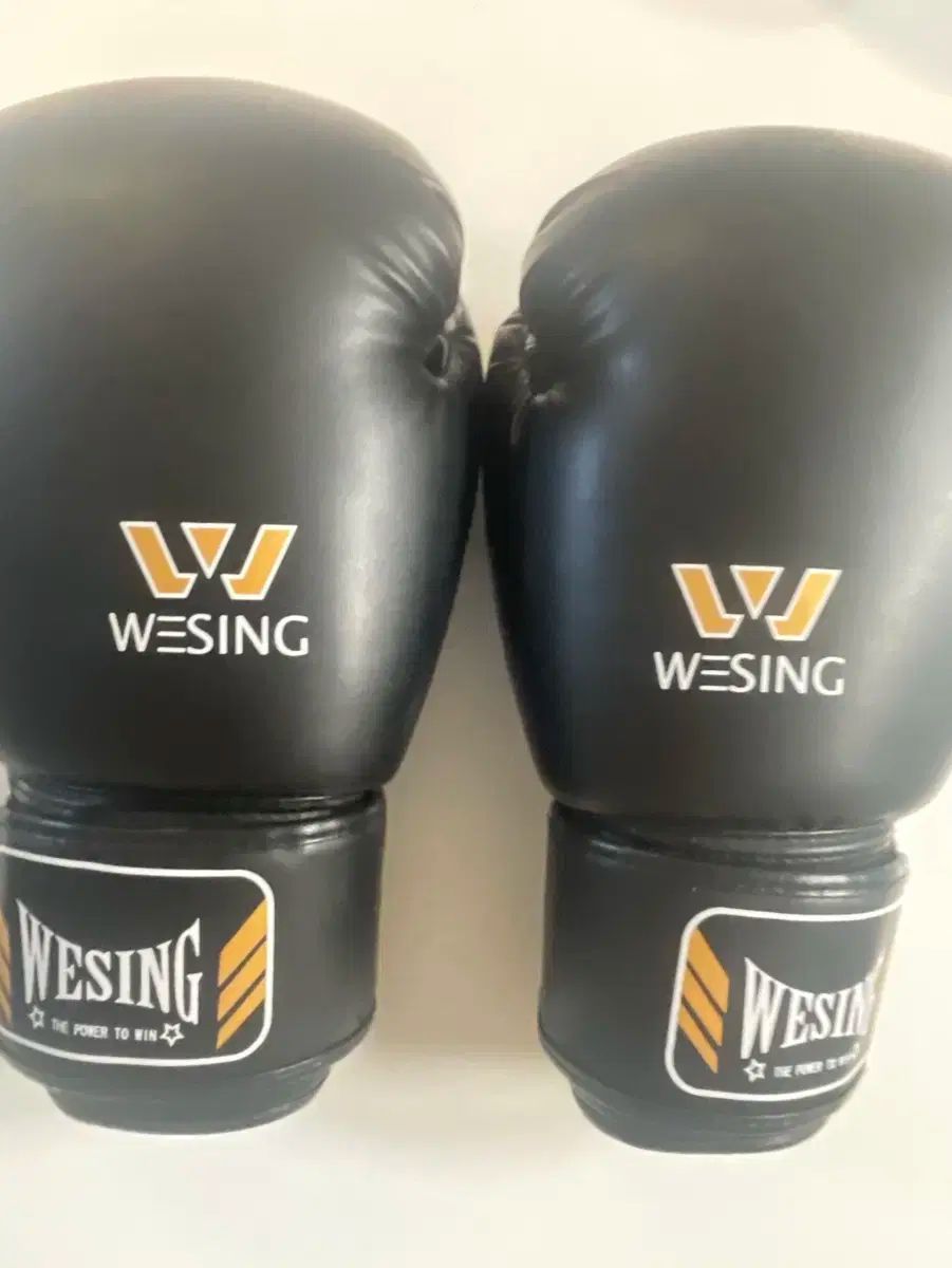 願う wbc 12oz ボクシング グローブ