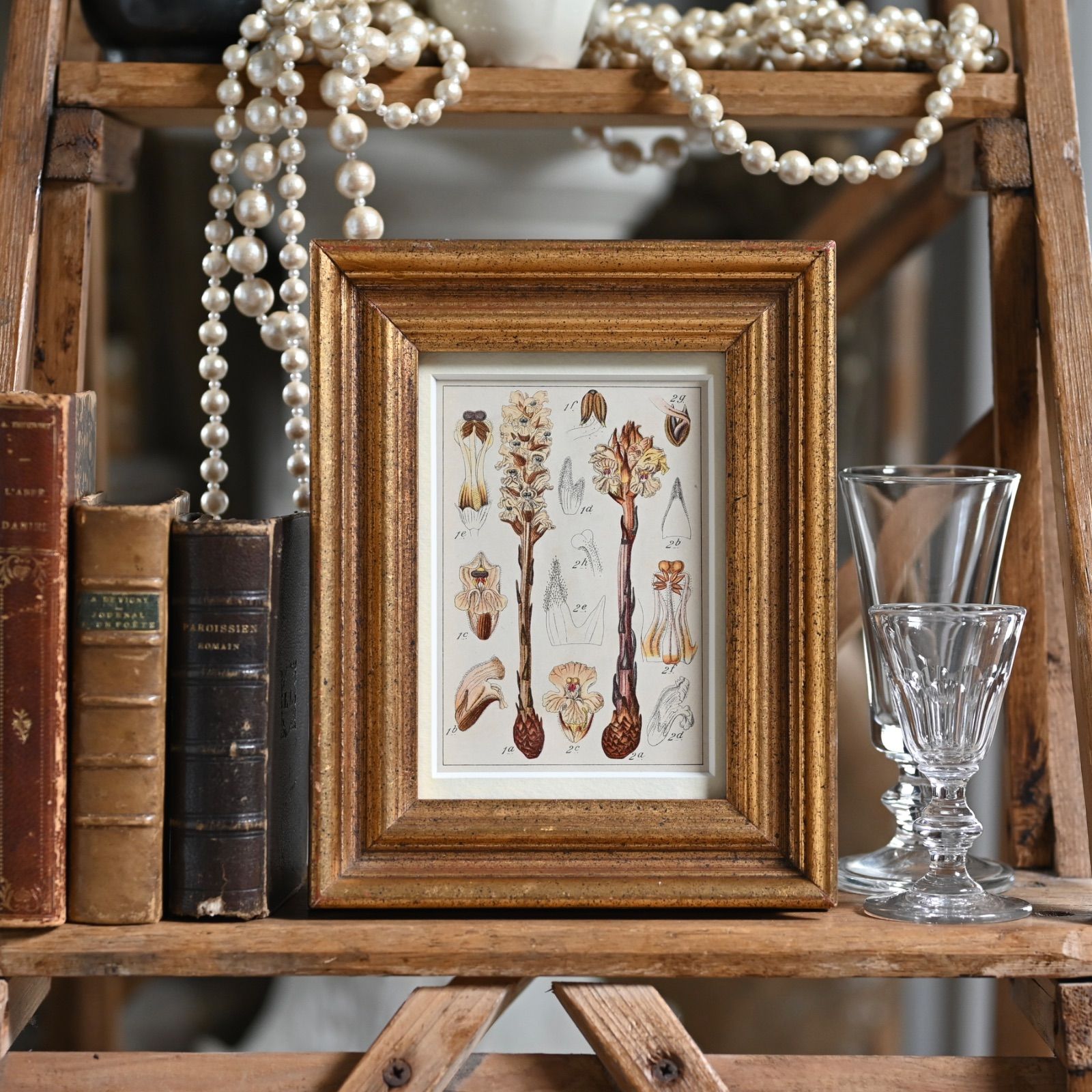 杉江智 展】 | sophora 杉江 智レースガラス器