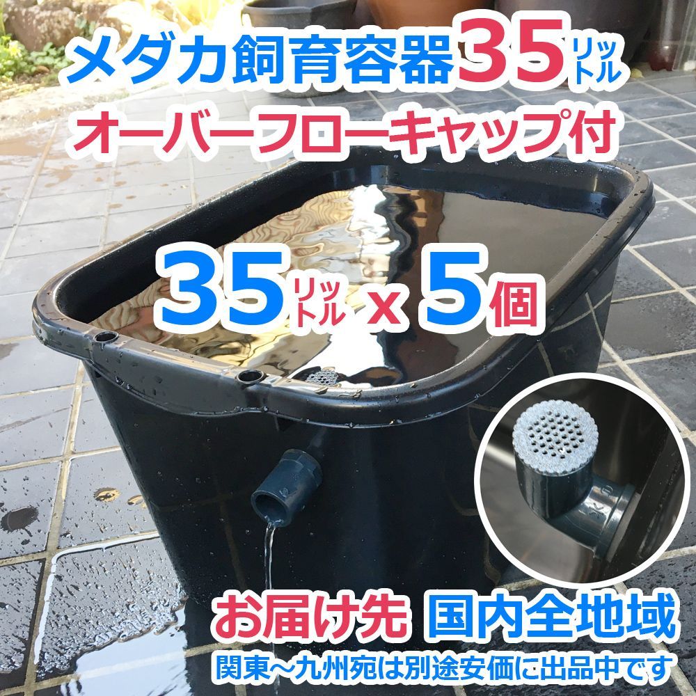 メダカ飼育ケース 35㍑x5個 オーバーフローキャップ付（全国発送可