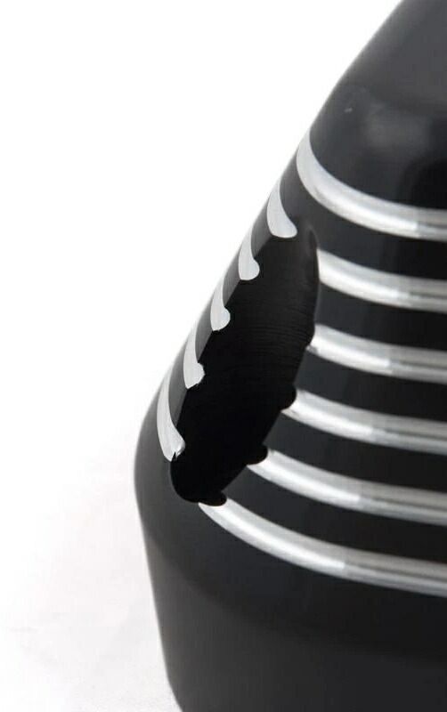 ネオフュージョン カムカバー