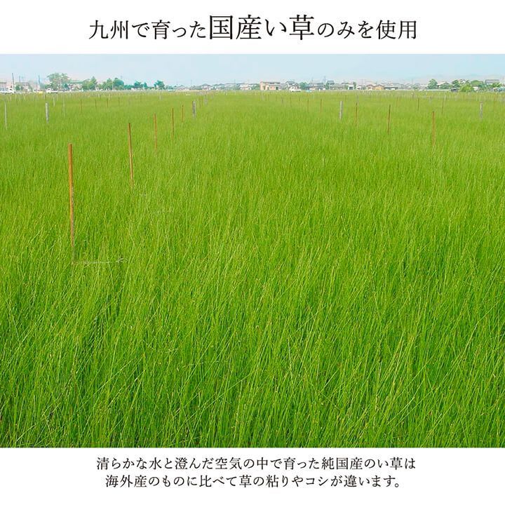 い草ラグ