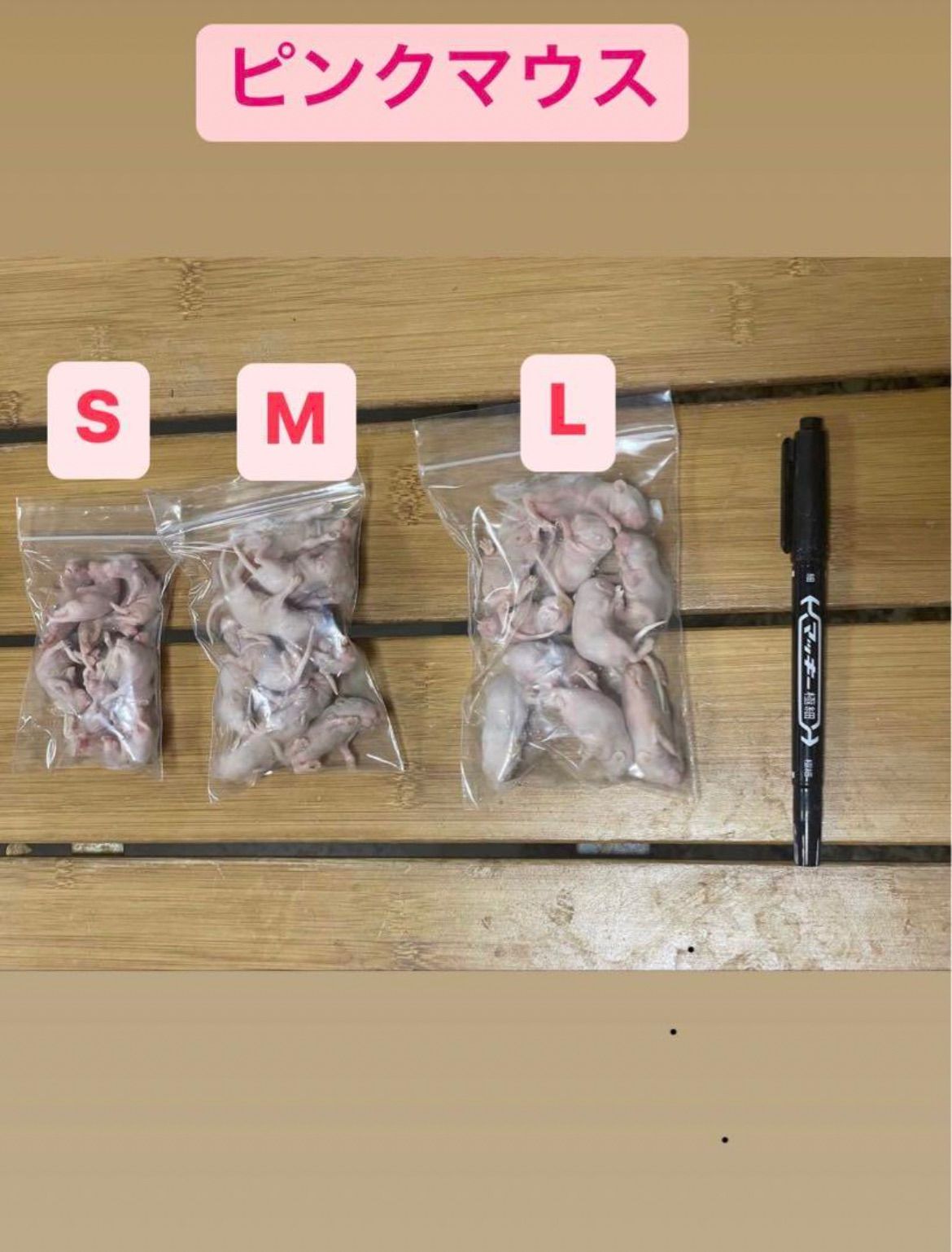 送料無料 冷凍ピンクマウスL100匹 楽天市場】ピンクマウス 冷凍の通販