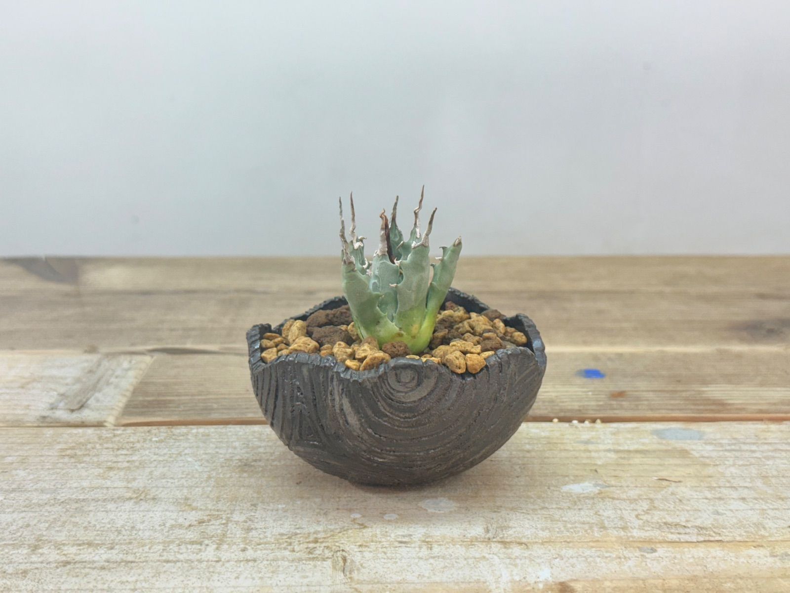 糸ケース ダルマ家庭糸 アンティーク引き出し 多杯収納 糸ケース