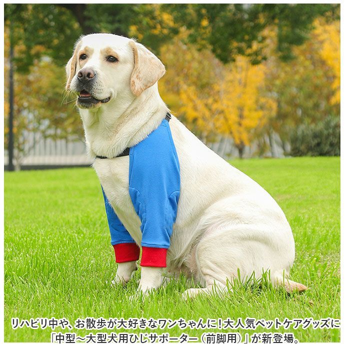 犬用 関節サポーターMサイズ - ヘルスケア・介護用品