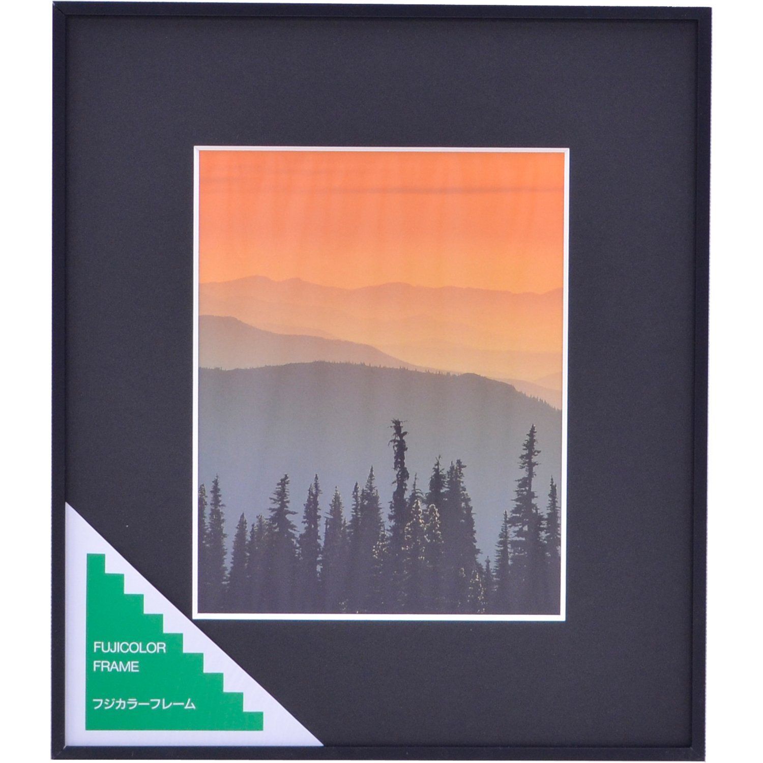 6切_単品 FUJICOLOR 額縁 A300 6切 アルミ ブラック 39678