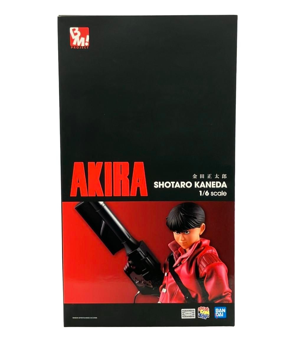 AKIRA 金田正太郎 BM! PROJECT メディコムトイ 1⁄6 最安値 | 1⁄6