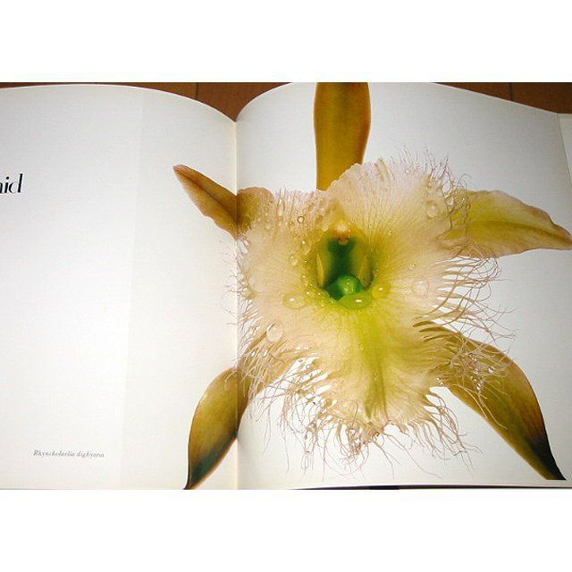 洋書写真集 フラワーズ/アービング・ペン/ FLOWERS/Irving Penn