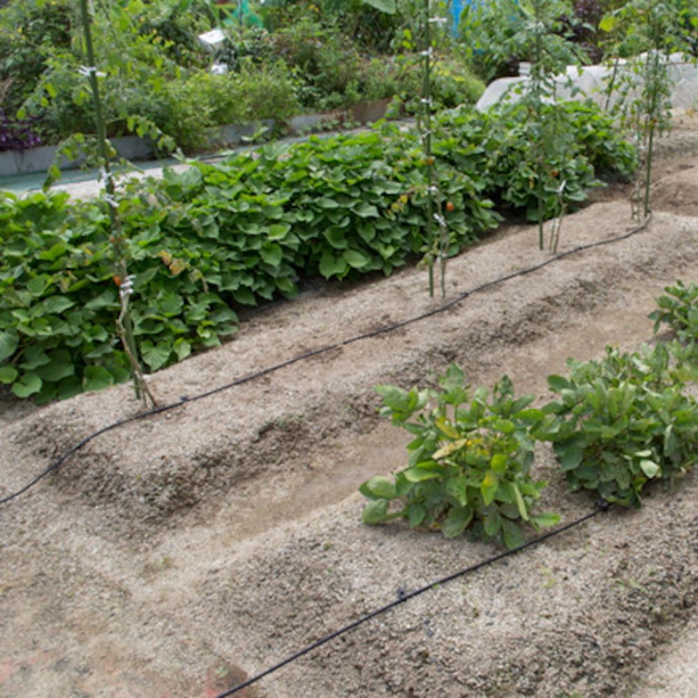 タカギ 水やりスターターキットタイマー付家庭用菜園用