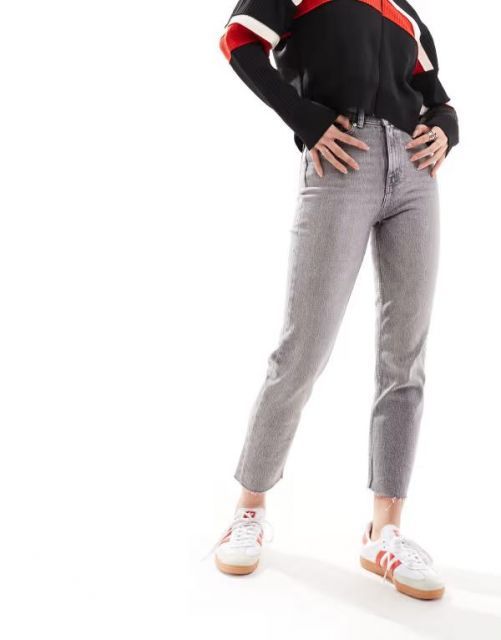 ☆フォルスターニシAP.LS産 ☆1♂2♀☆♂73mm♀赤系38mm ♀赤系39mm