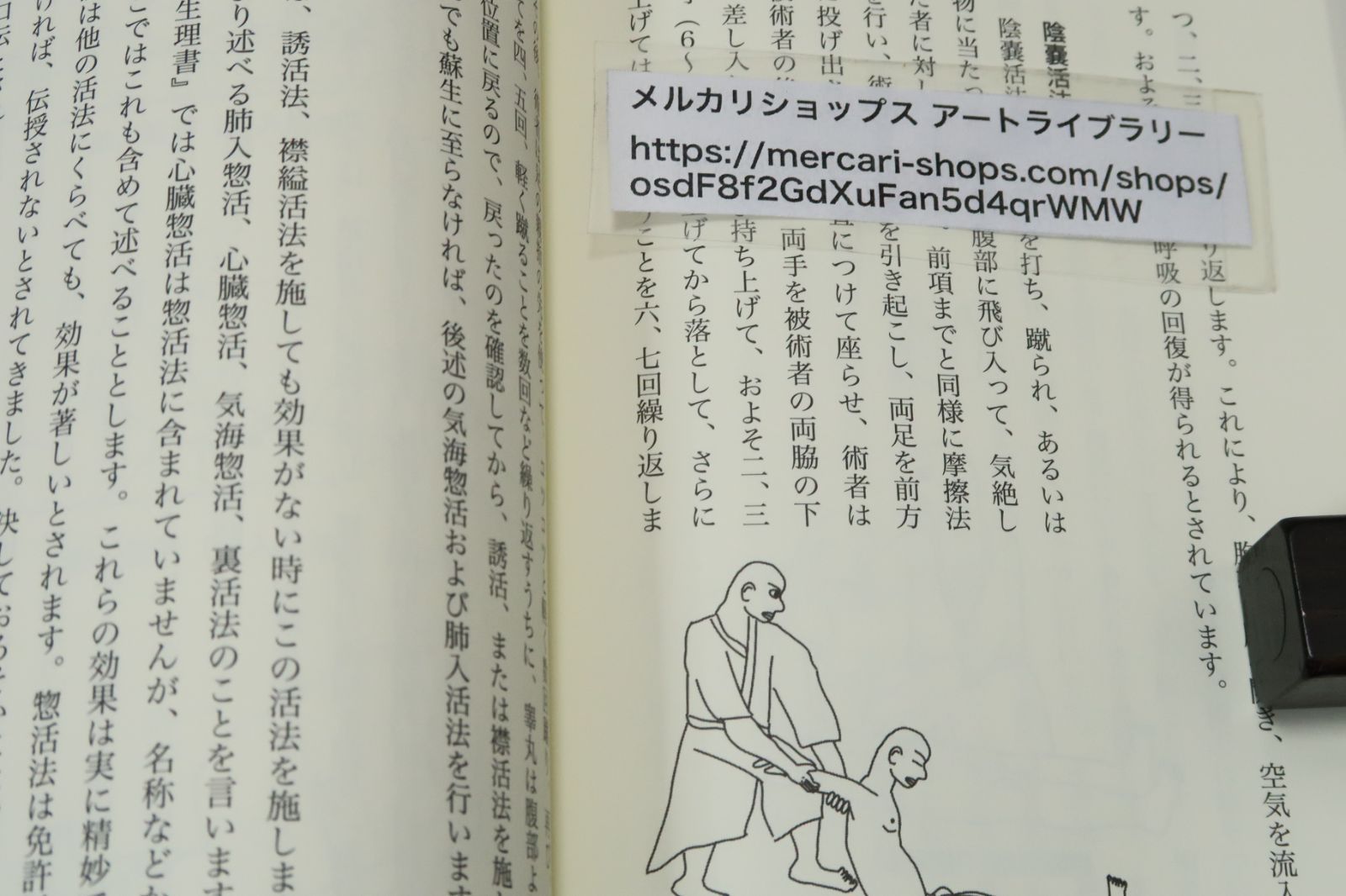 古流柔術の殺法・活法/江夏怜/古流柔術に伝わる活殺自在の最高秘伝・時代を超えて伝えられる至高の哲理・殺法と活法の知識を紹介する - メルカリ