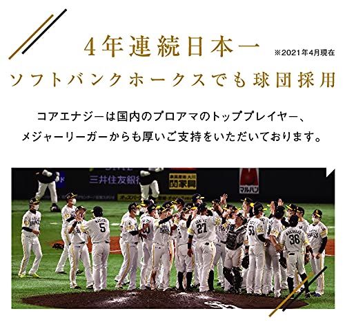野球ベルト プロ野球選手