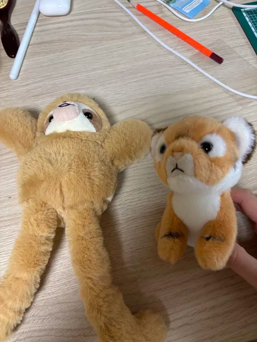 エバーランド ドールセール (タグ) 検証 可能