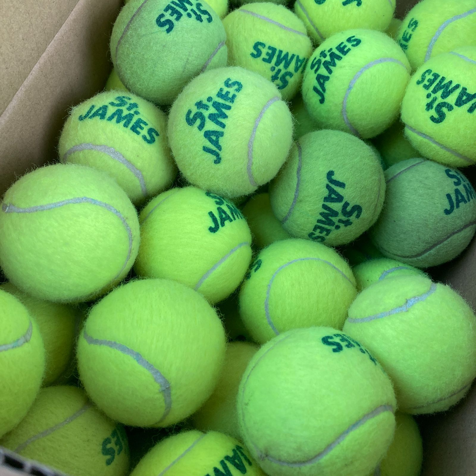 DUNLOP(ダンロップ) 硬式 テニス ボール セント・ジェームス 