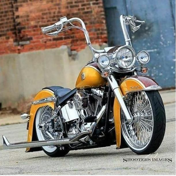 18×3.5 ソフテイル ハーレー 37-509 ホイール 格安販売の ソフテイル 18×3.5 2000～2024年 ハーレー ホイール