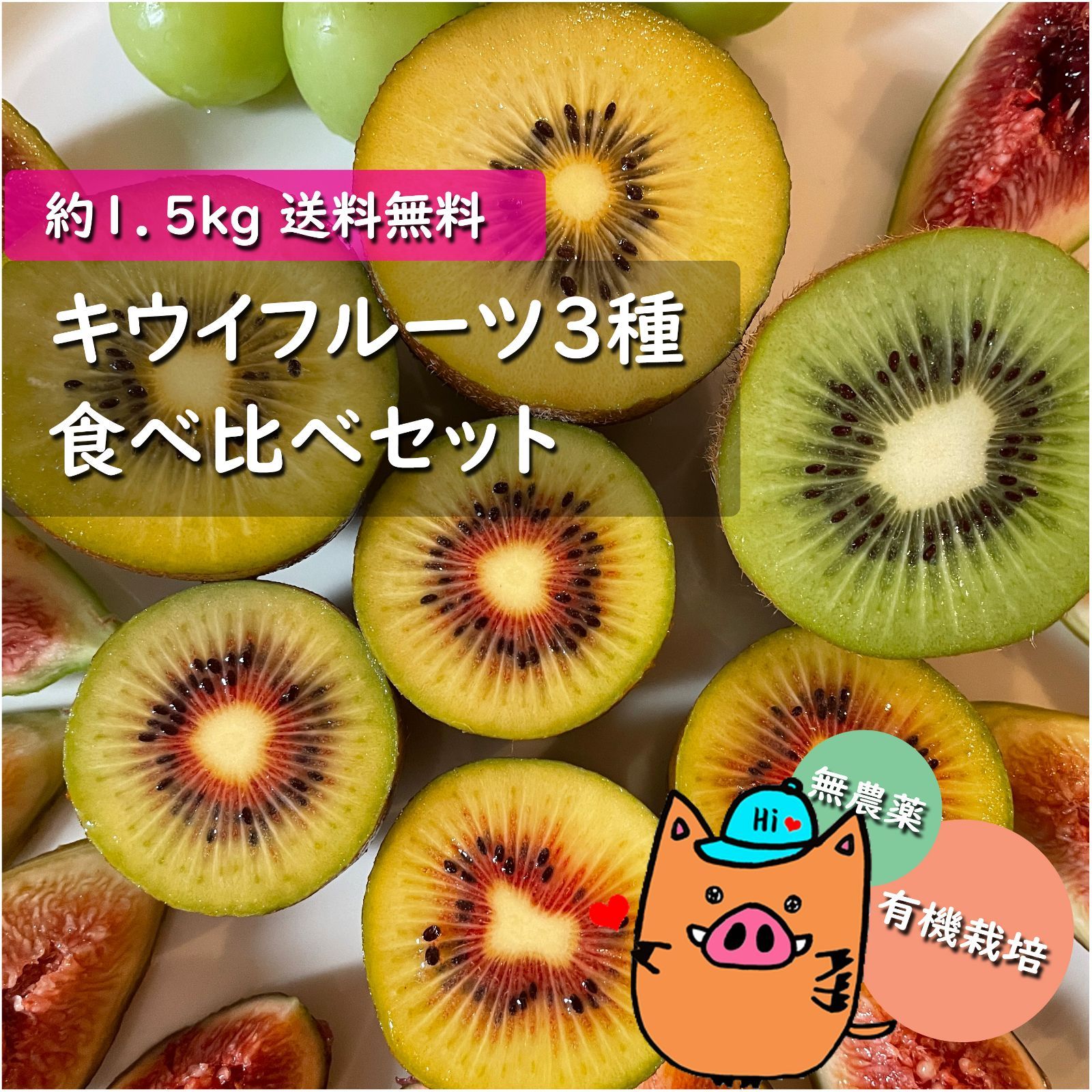 離島対応☆旬完熟キウイ3種お試しセット 紅妃 東京ゴールド アップル