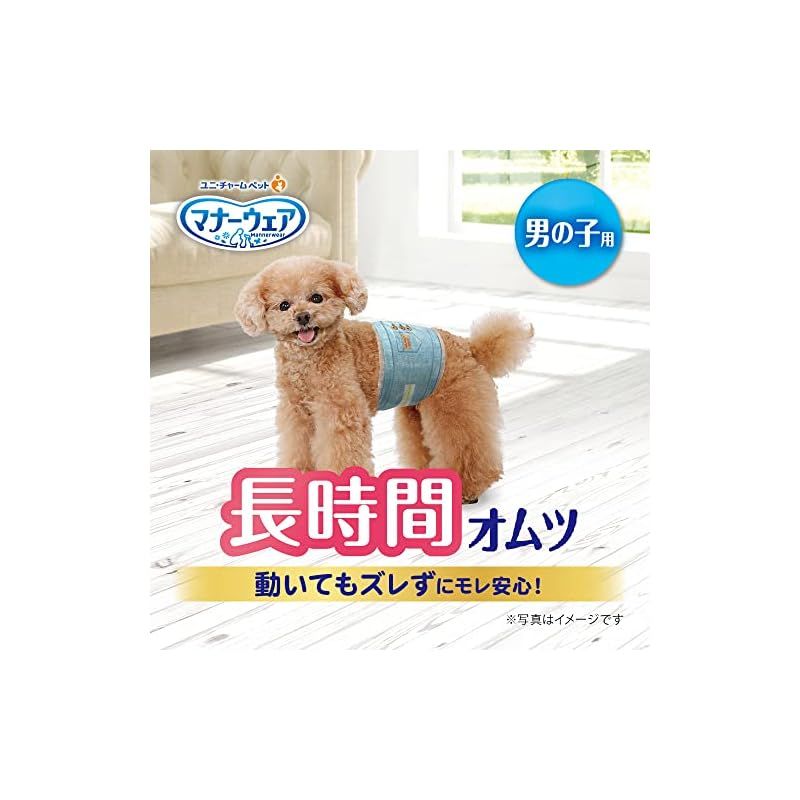 ケース品