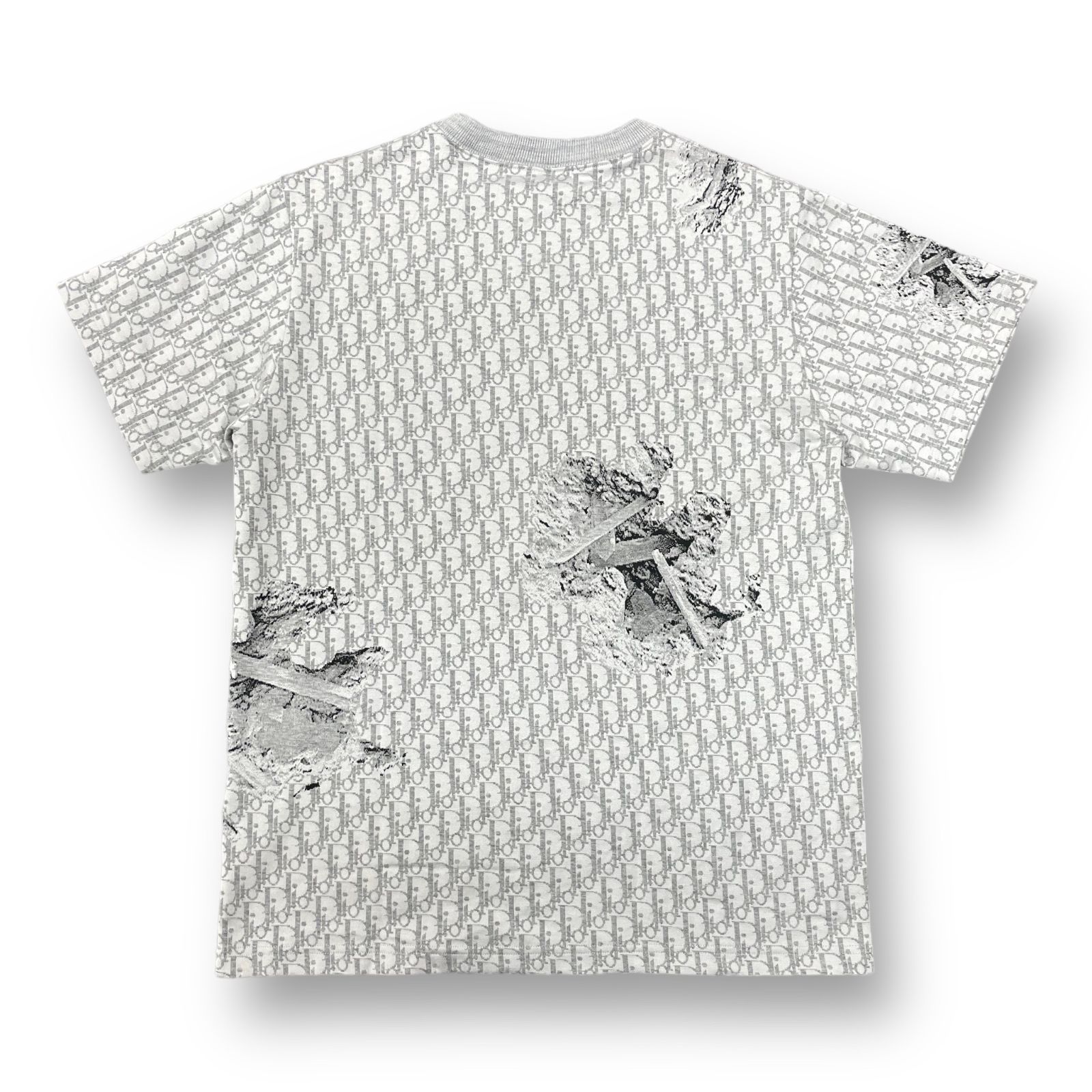 DIOR ダニエル・アーシャム　コラボTシャツ 未使用に近い DIOR ダニエル・アーシャムコラボTシャツ 未使用に近い ダニエル