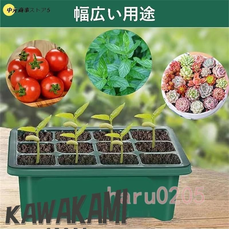 behouseさん苗 3苗セット　トライフル　オクト　コロン　札付き　抜き苗 Sproutzo