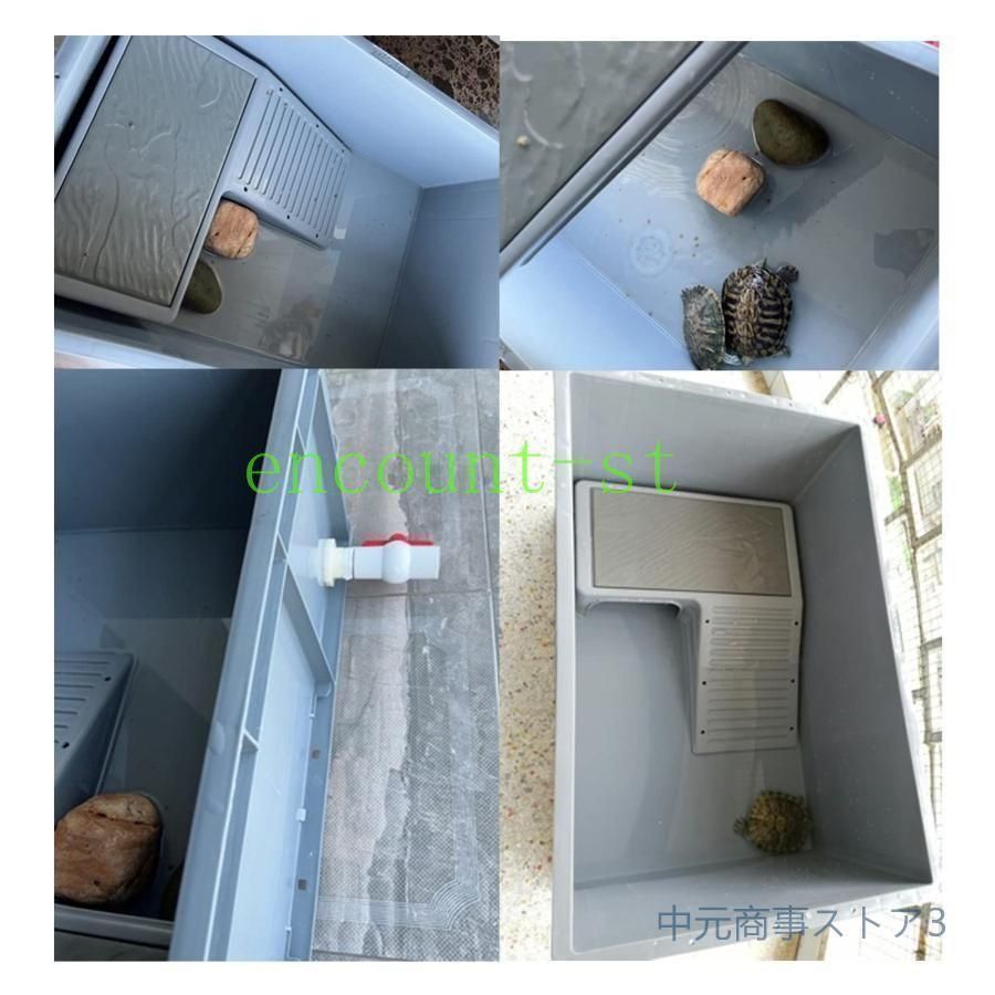 プラスチック カメ用水槽