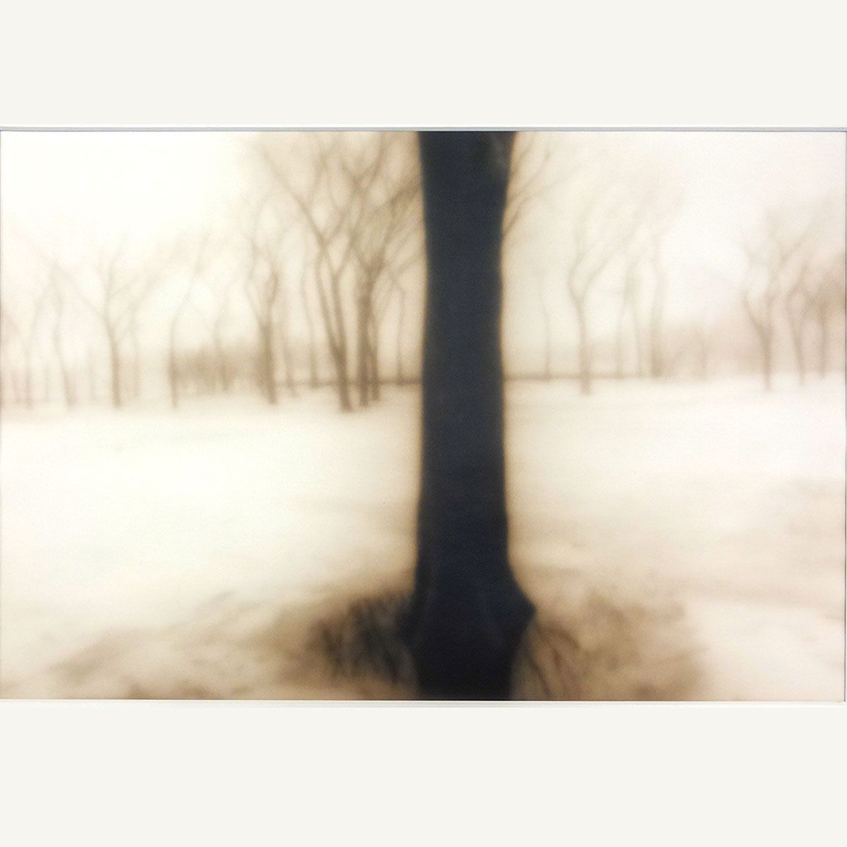 ケン ローゼンタール GHOSTSシリーズより 写真プリント 額入り 直筆サインあり 25部 風景画 Ken Rosenthal コンテンポラリーアート フォトプリント おしゃれ YE138