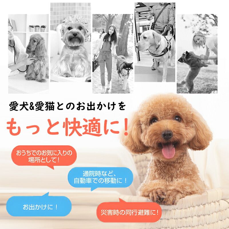 キャリーケース