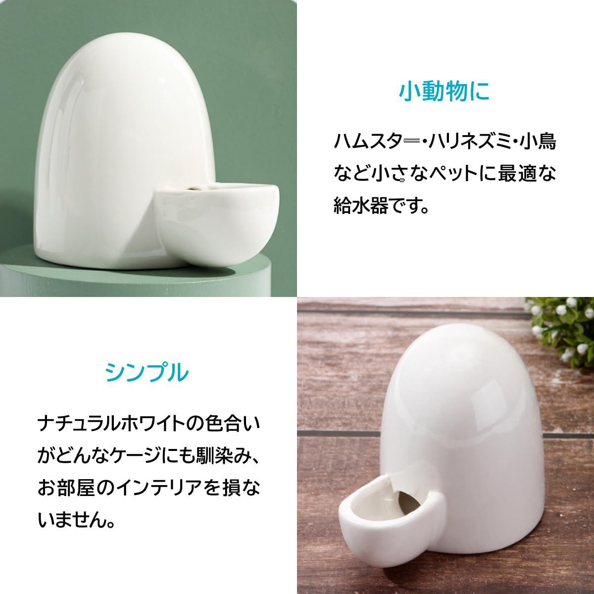 小鳥 ハリネズミ対応