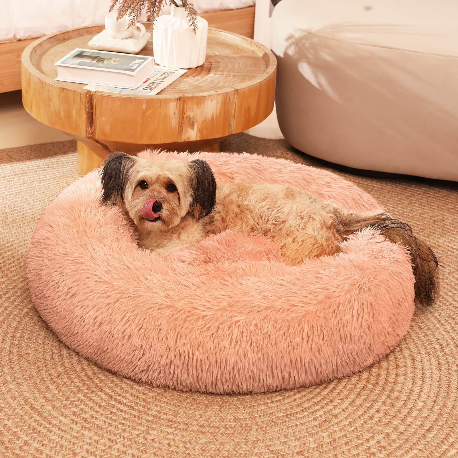 DIDU 2021 メッシュフレアパンツ レギンス アシメギャザーデザイン