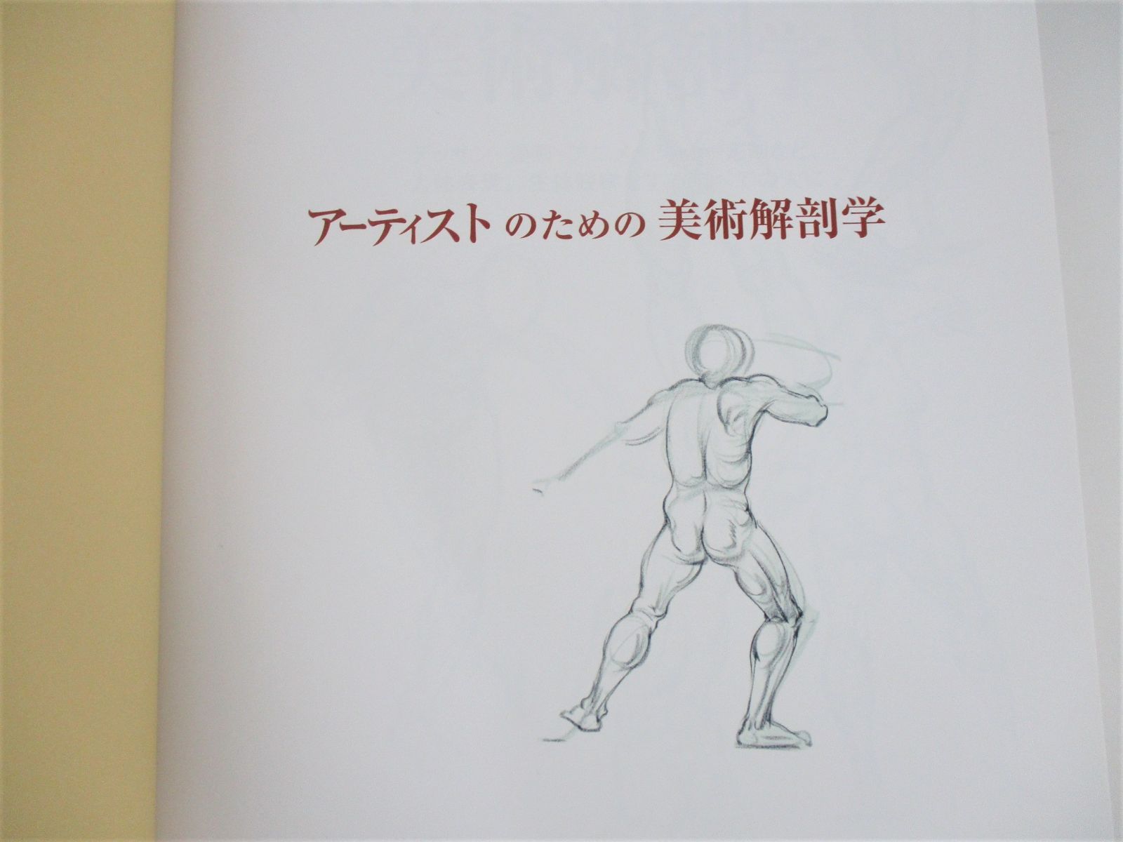 ◇古書 アーティストのための美術解剖学 ヴァレリー L ウィンスロゥ 著 マール社◇ - メルカリ