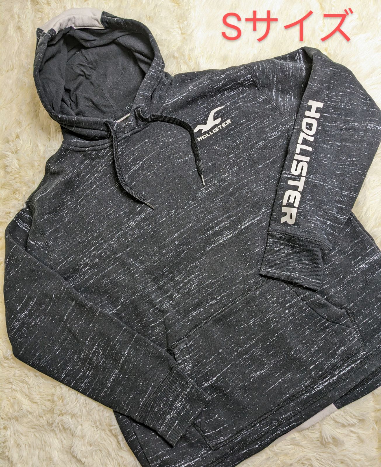 HOLLISTER トレーナー size S