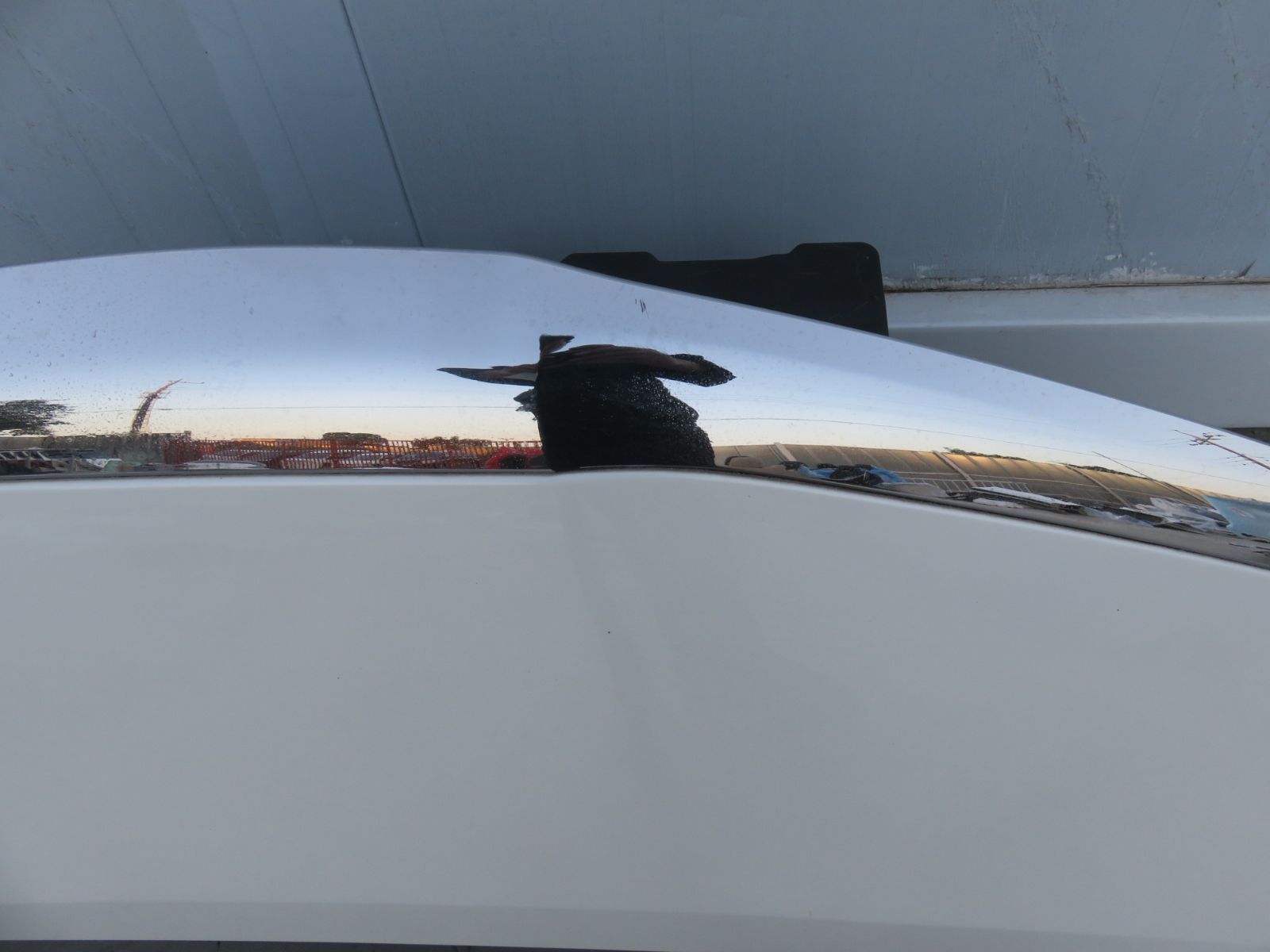 純正 ボンネット