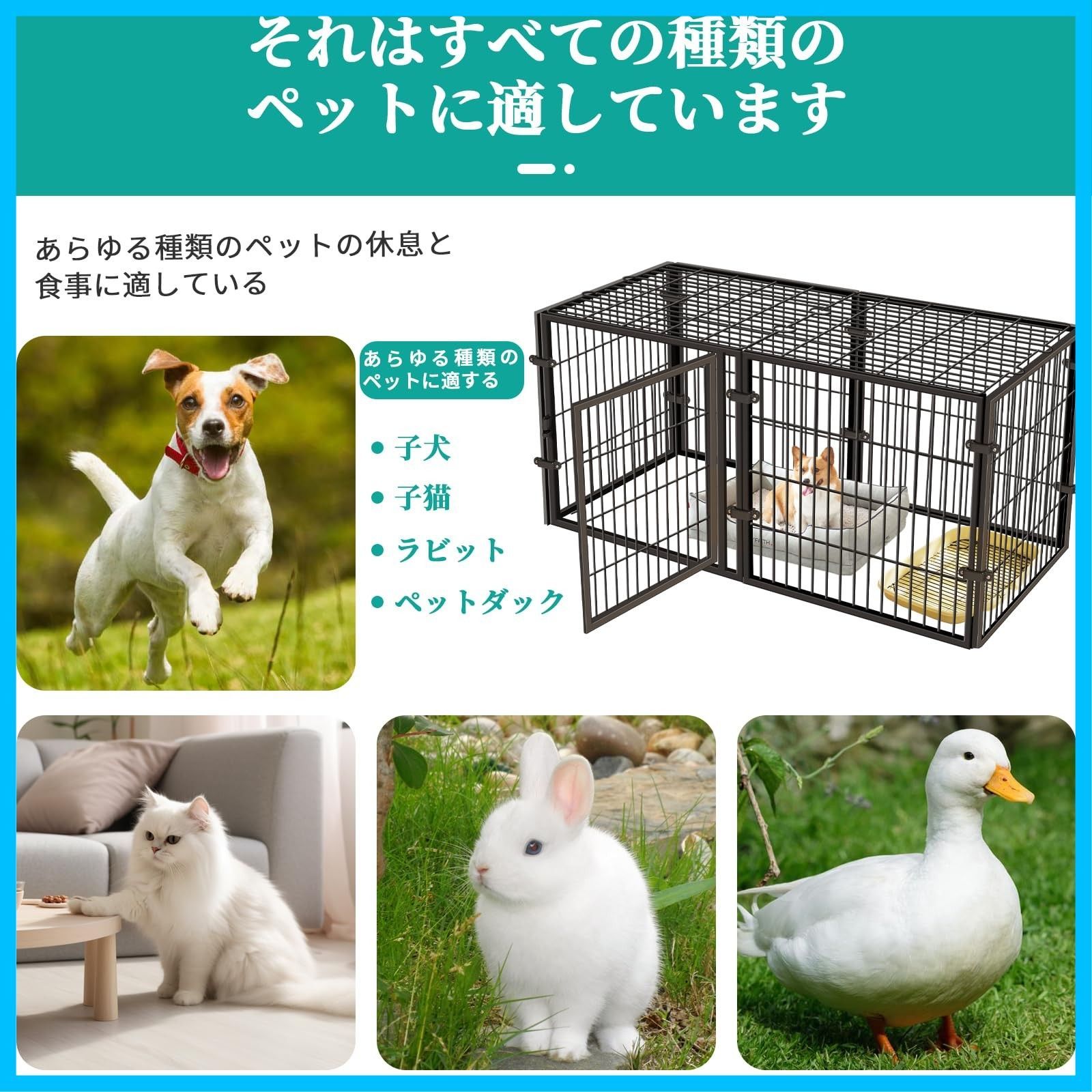 中型犬