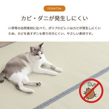 ござ